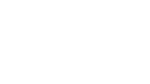 Honor Bolivia